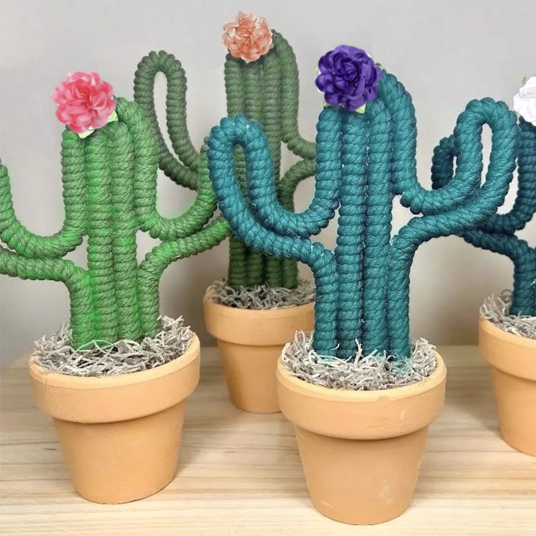 Macrame Cacti