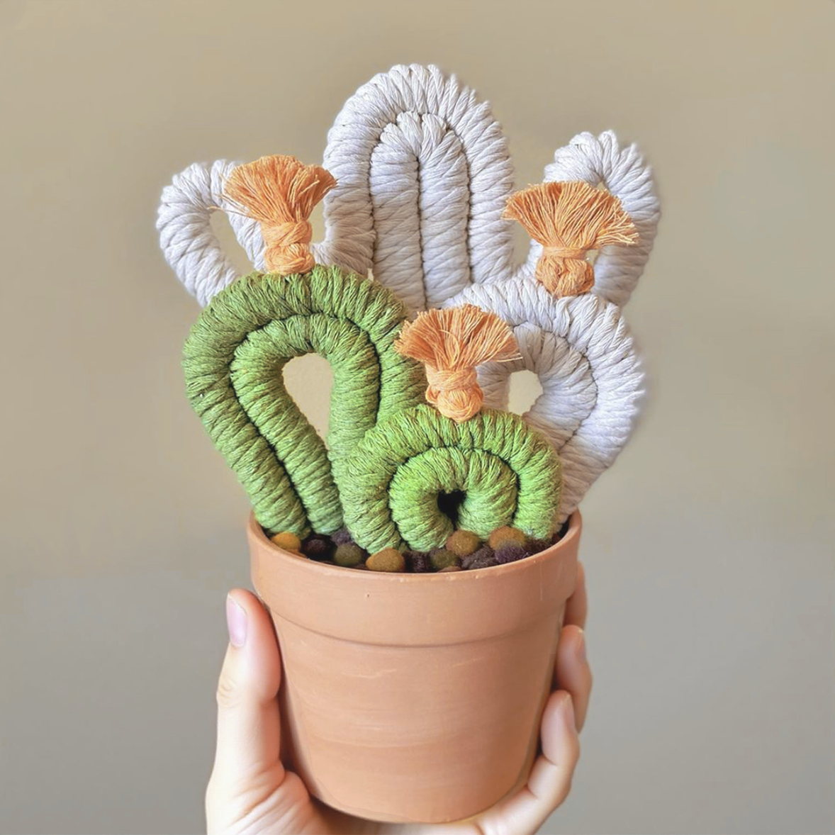 Macrame Cacti