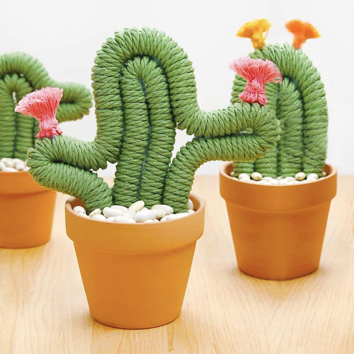 Macrame Cacti