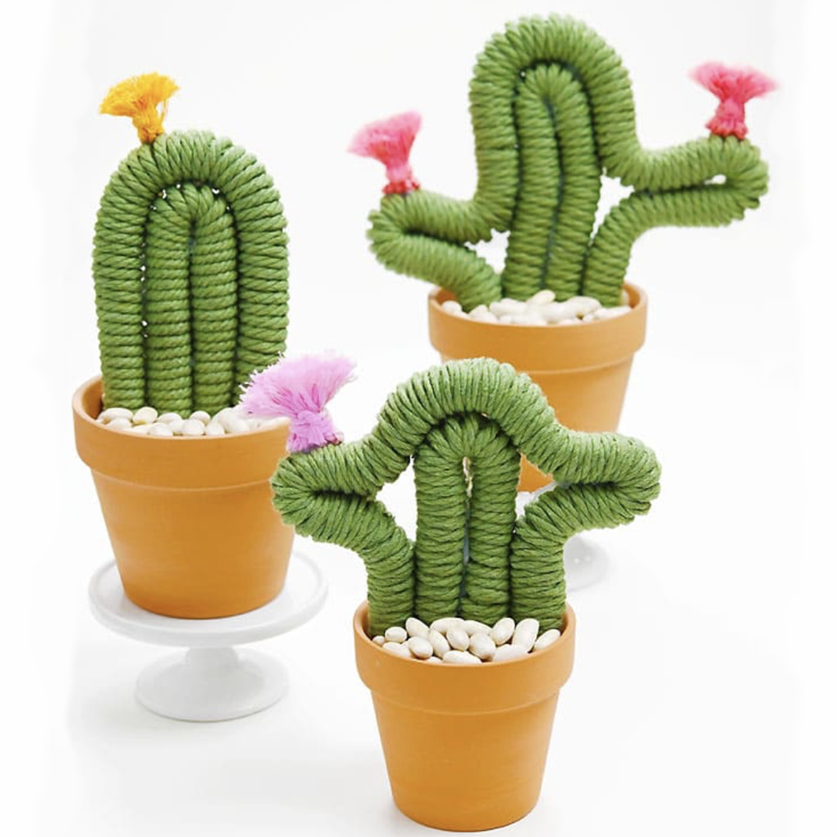 Macrame Cacti