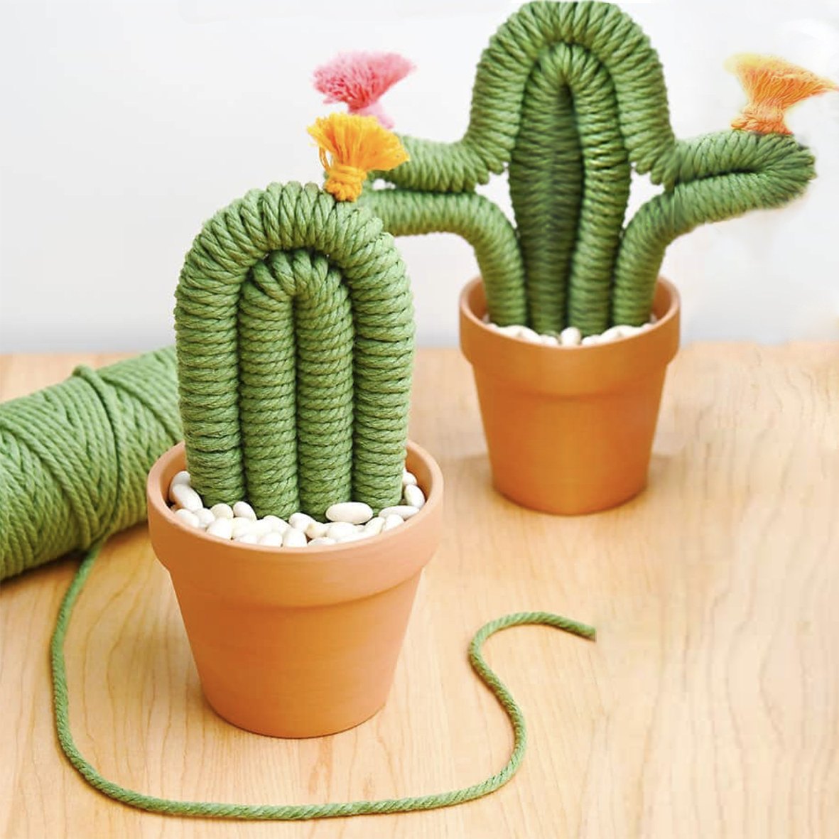 Macrame Cacti