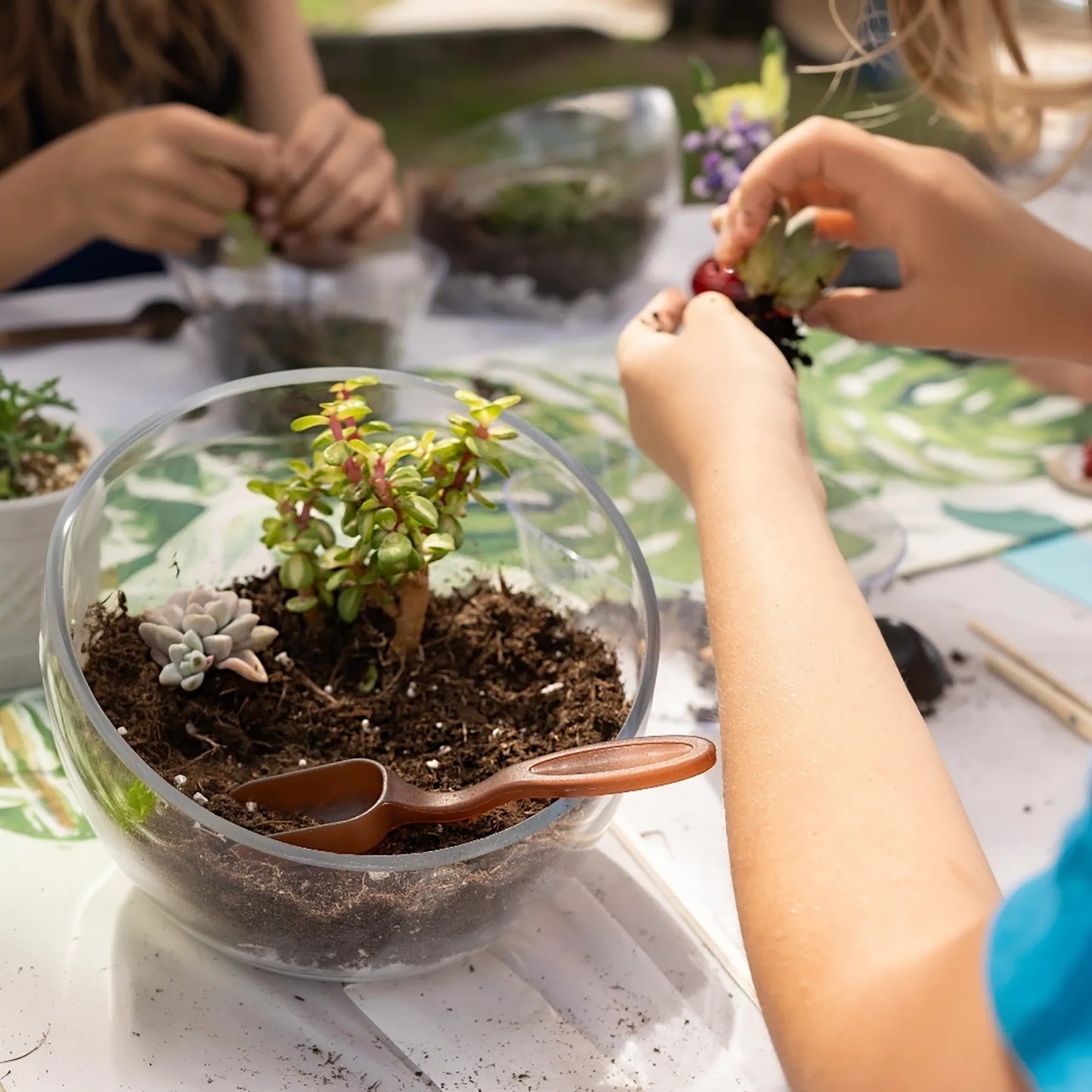 Close-up of children creating a succulent terrarium during a hands-on gardening workshop.