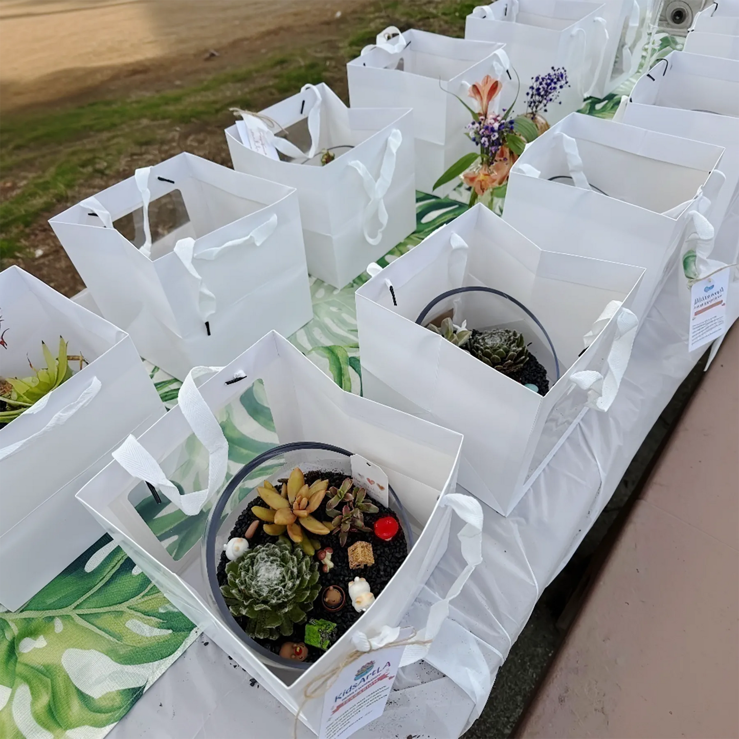 Finished succulent terrariums packaged as party favors after a kids gardening workshop.